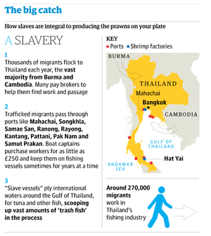 Asian Slave Labor Producing Prawns For Supermarkets In Us Uk Ire